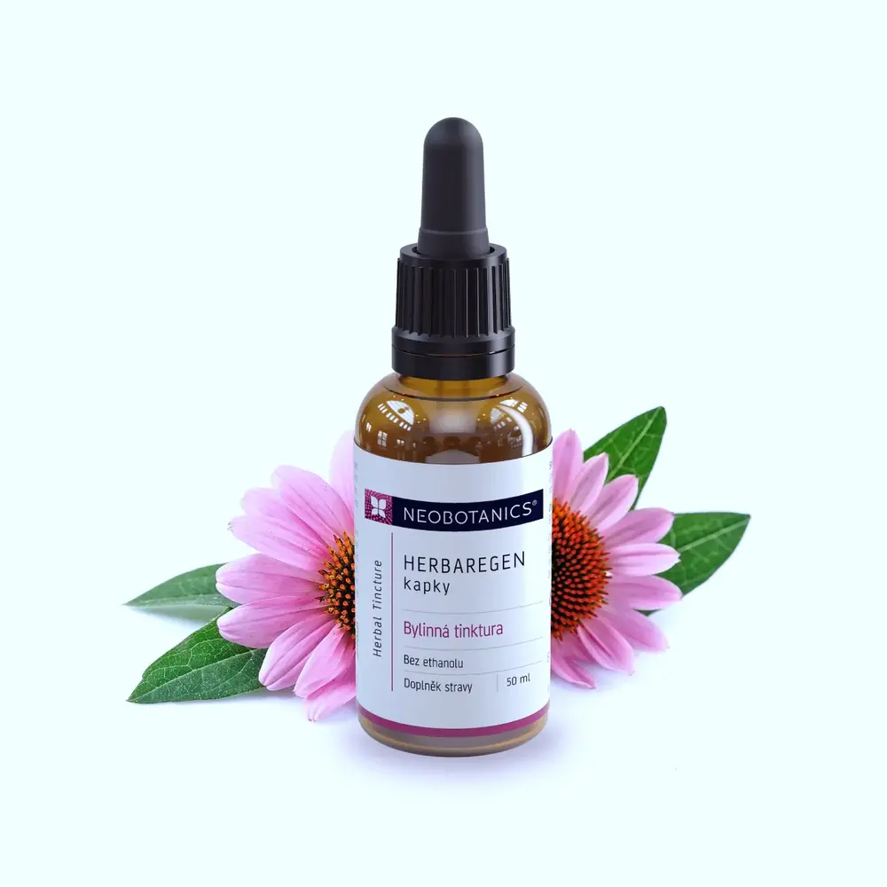HERBAREGEN KAPKY 50ML DMT 31.05.2024