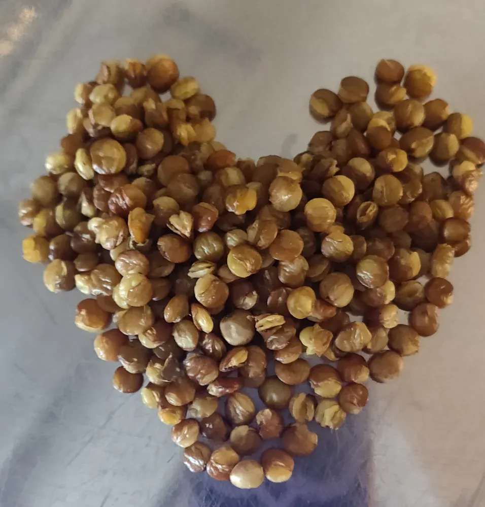 Křupavý snack - smažená čočka s mořskou solí, 100 g
