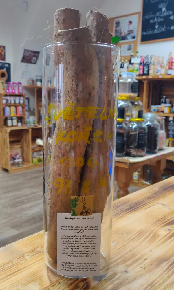 Světelný kořen, Jam čínský