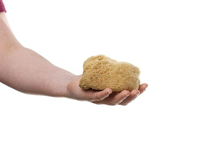 Mořská houba hedvábná -velká nebělená