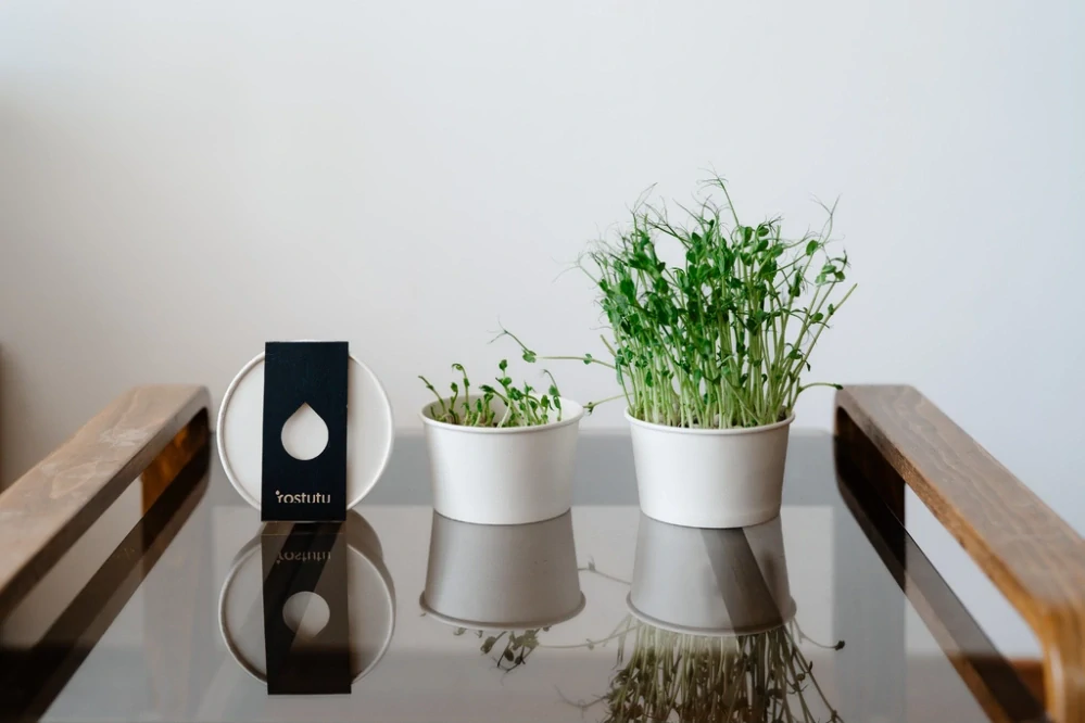 Pěstební set microgreens rostutu