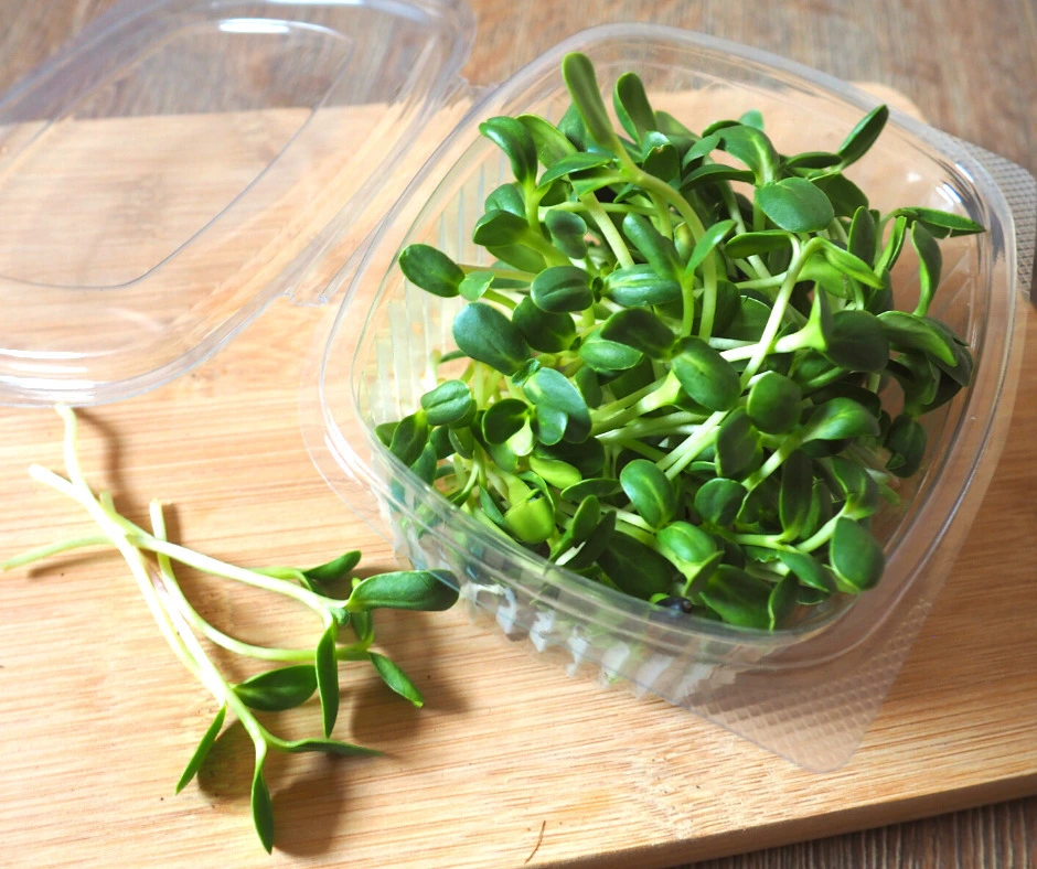 Microgreens slunečnice, 50 g