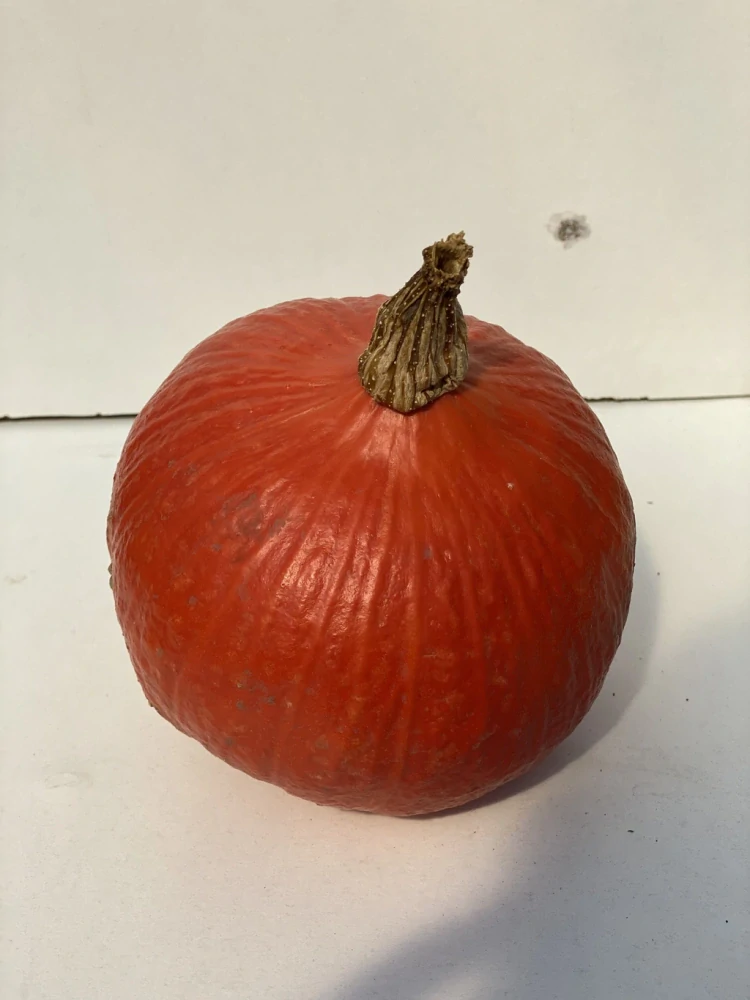 Dýně Hokkaidó 0,6-1 kg