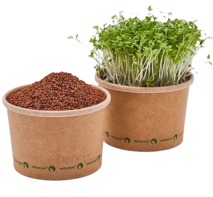 Řeřicha - BIO semínka na klíčení a microgreens 100 g
