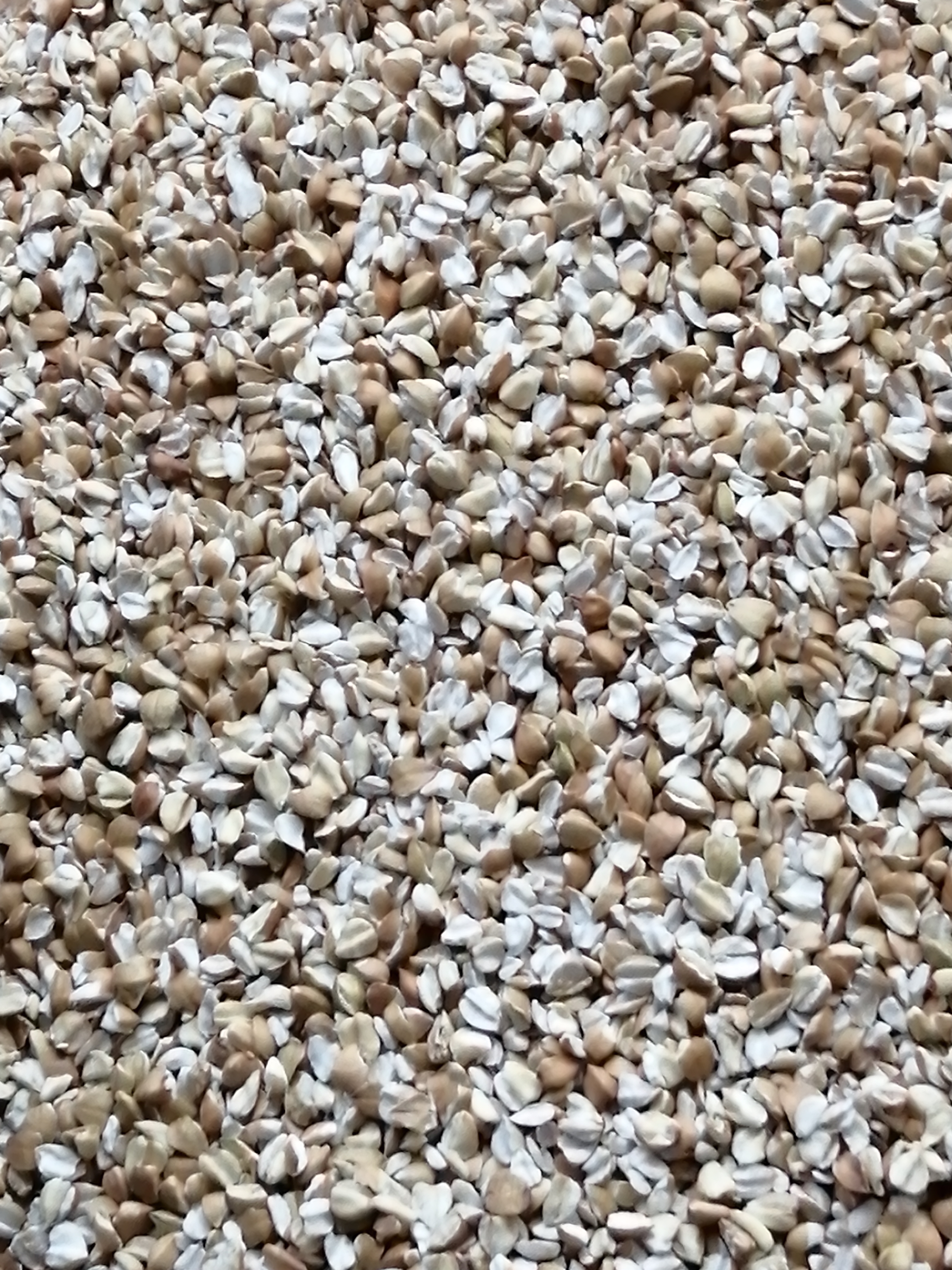 Pohanka lámanka Šmajstrla