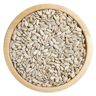 Moravská slunečnice  