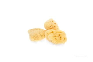 Mořská houba hedvábná - mini nebělená