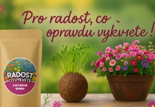 Květinová bomba - pro radost