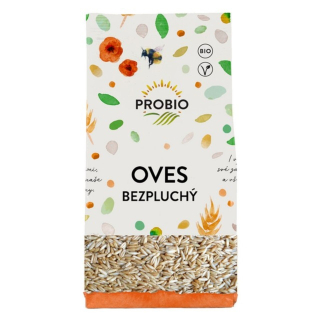 Oves bezpluchý BIO 500 g